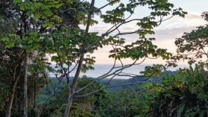 House for sale in Ojochal Costa Rica