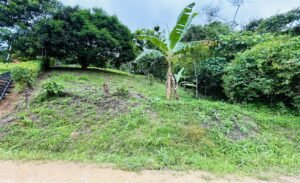 Ocean & Mountain View Lot in Morete 2,420 m² Near Uvita (1)
