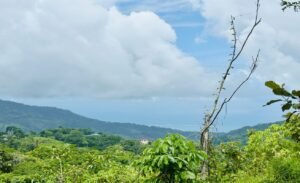 Ocean & Mountain View Lot in Morete 2,420 m² Near Uvita (10)