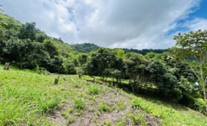 Ocean & Mountain View Lot in Morete 2,420 m² Near Uvita (11)