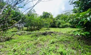 Ocean & Mountain View Lot in Morete 2,420 m² Near Uvita (14)