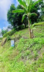 Ocean & Mountain View Lot in Morete 2,420 m² Near Uvita (16)