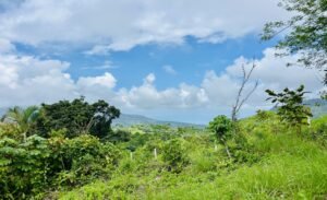 Ocean & Mountain View Lot in Morete 2,420 m² Near Uvita (2)