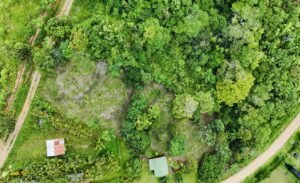Ocean & Mountain View Lot in Morete 2,420 m² Near Uvita (2)