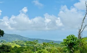 Ocean & Mountain View Lot in Morete 2,420 m² Near Uvita (3)