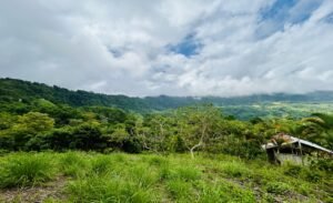 Ocean & Mountain View Lot in Morete 2,420 m² Near Uvita (4)