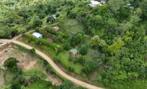 Ocean & Mountain View Lot in Morete 2,420 m² Near Uvita (4)