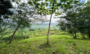Ocean & Mountain View Lot in Morete 2,420 m² Near Uvita (5)