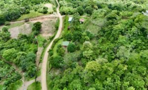 Ocean & Mountain View Lot in Morete 2,420 m² Near Uvita (5)