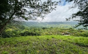 Ocean & Mountain View Lot in Morete 2,420 m² Near Uvita (6)