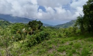 Ocean & Mountain View Lot in Morete 2,420 m² Near Uvita (6)