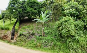 Ocean & Mountain View Lot in Morete 2,420 m² Near Uvita (7)