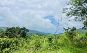 Ocean & Mountain View Lot in Morete 2,420 m² Near Uvita (9)