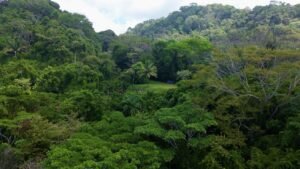Premium Ocean View Estate Parcel with Creek & Sunset Views Near Dominical, Costa Rica (1)