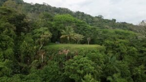 Premium Ocean View Estate Parcel with Creek & Sunset Views Near Dominical, Costa Rica (10)