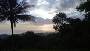Premium Ocean View Estate Parcel with Creek & Sunset Views Near Dominical, Costa Rica (13)