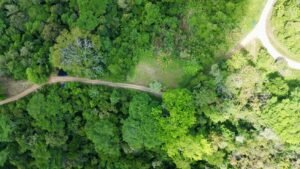 Premium Ocean View Estate Parcel with Creek & Sunset Views Near Dominical, Costa Rica (14)