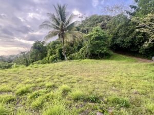 Premium Ocean View Estate Parcel with Creek & Sunset Views Near Dominical, Costa Rica (15)