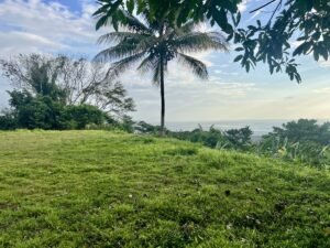 Premium Ocean View Estate Parcel with Creek & Sunset Views Near Dominical, Costa Rica (16)