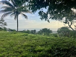 Premium Ocean View Estate Parcel with Creek & Sunset Views Near Dominical, Costa Rica (17)