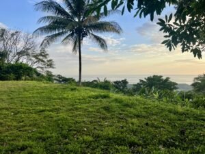 Premium Ocean View Estate Parcel with Creek & Sunset Views Near Dominical, Costa Rica (19)