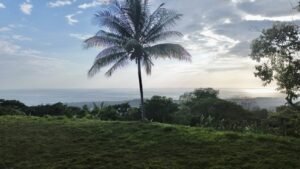 Premium Ocean View Estate Parcel with Creek & Sunset Views Near Dominical, Costa Rica (20)