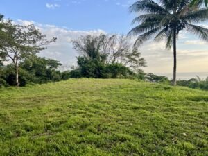Premium Ocean View Estate Parcel with Creek & Sunset Views Near Dominical, Costa Rica (22)
