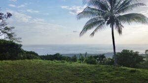 Premium Ocean View Estate Parcel with Creek & Sunset Views Near Dominical, Costa Rica (23)