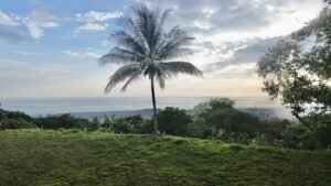 Premium Ocean View Estate Parcel with Creek & Sunset Views Near Dominical, Costa Rica (24)