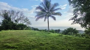 Premium Ocean View Estate Parcel with Creek & Sunset Views Near Dominical, Costa Rica (25)