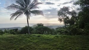 Premium Ocean View Estate Parcel with Creek & Sunset Views Near Dominical, Costa Rica (26)