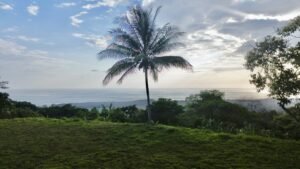 Premium Ocean View Estate Parcel with Creek & Sunset Views Near Dominical, Costa Rica (3)