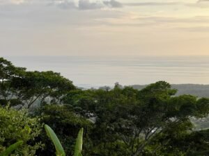 Premium Ocean View Estate Parcel with Creek & Sunset Views Near Dominical, Costa Rica (30)