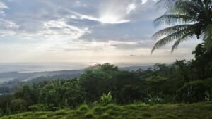 Premium Ocean View Estate Parcel with Creek & Sunset Views Near Dominical, Costa Rica (5)
