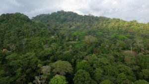 Premium Ocean View Estate Parcel with Creek & Sunset Views Near Dominical, Costa Rica (6)