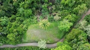 Premium Ocean View Estate Parcel with Creek & Sunset Views Near Dominical, Costa Rica (7)