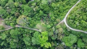 Premium Ocean View Estate Parcel with Creek & Sunset Views Near Dominical, Costa Rica (8)