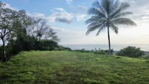 Premium Ocean View Estate Parcel with Creek & Sunset Views Near Dominical, Costa Rica (9)