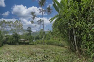Residential Lot for Sale in Ojochal Condo Tortuga 196836 (1)