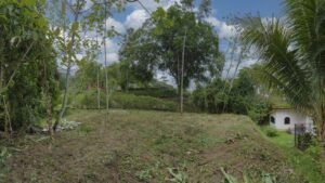 Residential Lot for Sale in Ojochal Condo Tortuga 196836 (2)