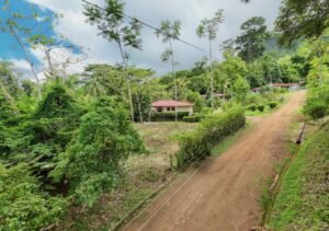 Residential Lot for Sale in Ojochal Condo Tortuga 196836 (4)