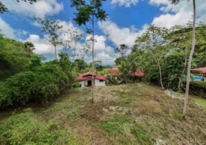 Residential Lot for Sale in Ojochal Condo Tortuga 196836 (6)