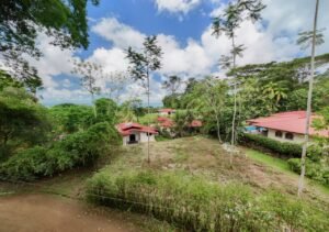 Residential Lot for Sale in Ojochal Condo Tortuga 196836 (7)