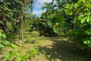 Serene 2-Bedroom Jungle Sanctuary with Private Pool & Gorgeous Balcony Views on Calle Buganvillea in Ojochal Costa Rica- 197214 (24)