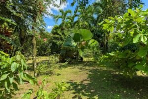 Serene 2-Bedroom Jungle Sanctuary with Private Pool & Gorgeous Balcony Views on Calle Buganvillea in Ojochal Costa Rica- 197214 (27)