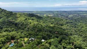 dji_fly_20241023_112638 a. m._194_1729617113441_photo_optimized