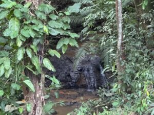 3-Bed Jungle Home with Extra Building Lot in Playa Hermosa – 198171 (1)