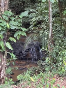3-Bed Jungle Home with Extra Building Lot in Playa Hermosa – 198171 (2)