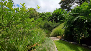 5533 – Ojochal Tropical Hacienda with Epic Ocean View_44