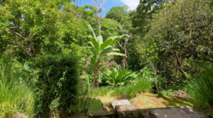 5533 – Ojochal Tropical Hacienda with Epic Ocean View_45